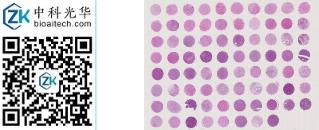 中科光华-K078Sf01