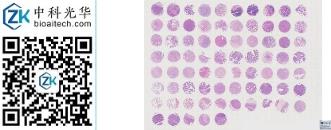 中科光华-X075Mc01