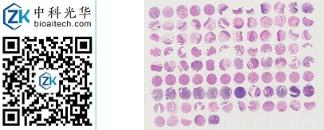 中科光华-X101Mc01