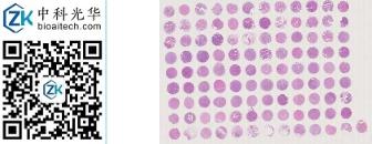 中科光华-D108St01