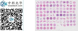 中科光华-MuFDA1021b