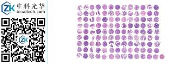 中科光华-D117Co01