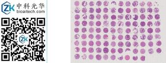 中科光华-F106Ur01