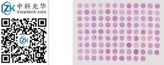 中科光华-U106Ki02