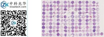 中科光华-R160Lu02S