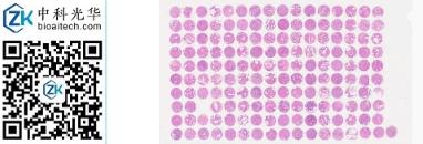 中科光华-M160Pr01