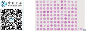 中科光华-N109Ct01a