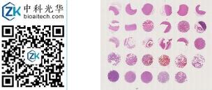 中科光华-XP029Mc01