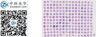 中科光华-HN192Oc01