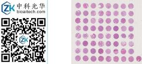 中科光华-U064Ki02