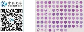 中科光华-X092Mc01