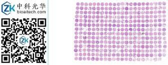 中科光华-R307Lu01