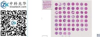 中科光华-D060Lv01