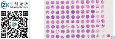 中科光华-X096Mc06