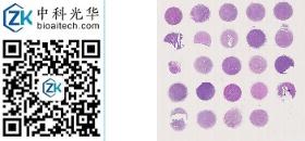 中科光华-I024Ly01