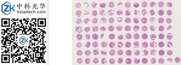 中科光华-D096St01S