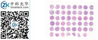 中科光华-F047Ce01