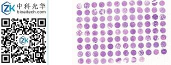 中科光华-D105Re01