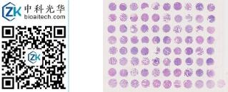 中科光华-E081Tg01