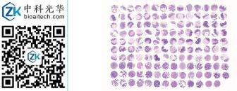 中科光华-D139Co01