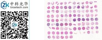 中科光华-MuFDA1021c