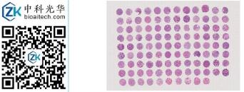 中科光华-F106Br01