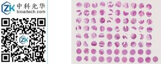 中科光华-D080Es01