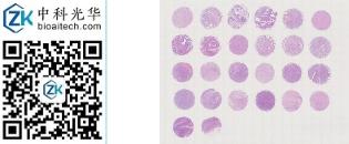 中科光华-D026St01