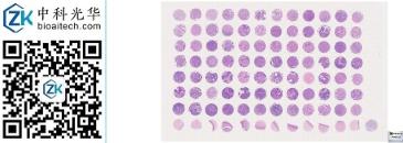 中科光华-F096Ce01