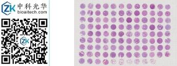 中科光华-R106Lu01