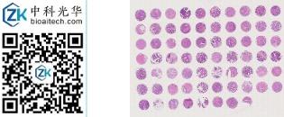 中科光华-D068Co02