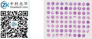 中科光华-X079Mc01