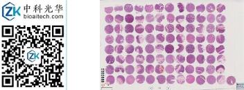 中科光华-D096St02