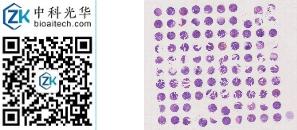 中科光华-D100Co04