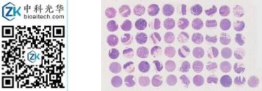 中科光华-D060St01S