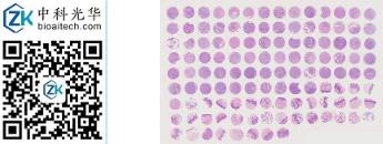 中科光华-HN120Oc01