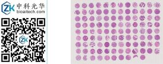 中科光华-F106Ov01