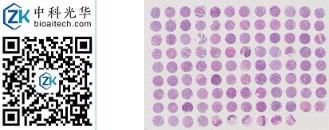 中科光华-HN106Oc01