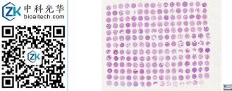 中科光华-R207Lu02