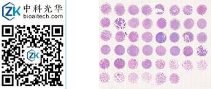 中科光华-M046Tt01