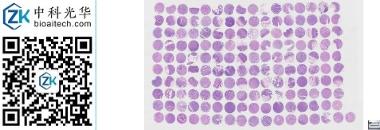 中科光华-D161St01S