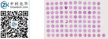 中科光华-D096Lv02