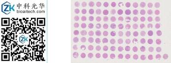 中科光华-D096Lv01