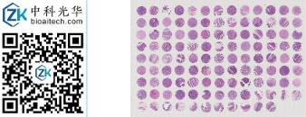 中科光华-D115Co01