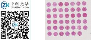 中科光华-UN041Ki01