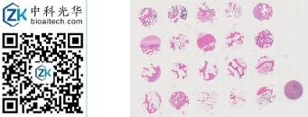 中科光华-LN020Bn02