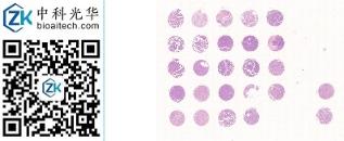 中科光华-D026Lv01