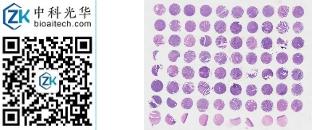 中科光华-F079Ce01