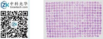 中科光华-D307Co01