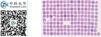 中科光华-D160Lv01S